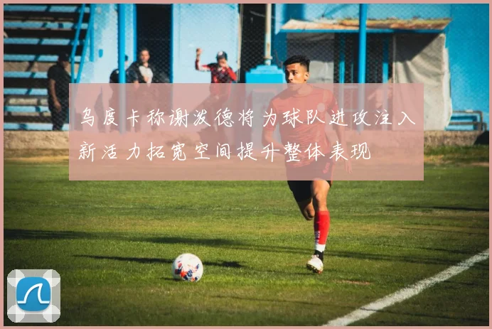 乌度卡称谢泼德将为球队进攻注入新活力拓宽空间提升整体表现
